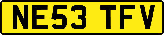 NE53TFV