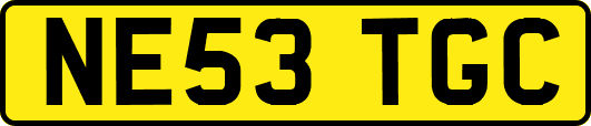 NE53TGC