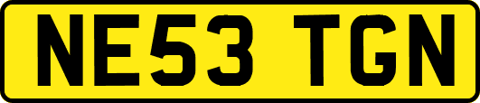 NE53TGN