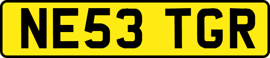 NE53TGR