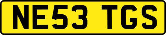 NE53TGS