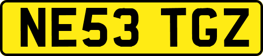 NE53TGZ
