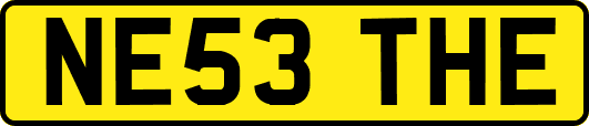 NE53THE