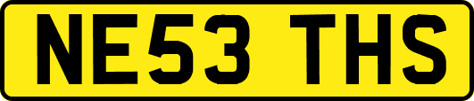 NE53THS