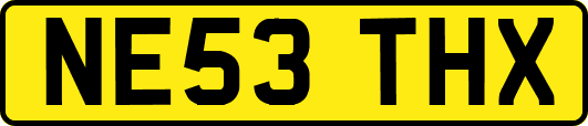 NE53THX