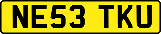 NE53TKU