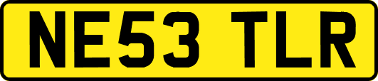 NE53TLR