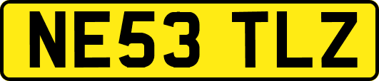 NE53TLZ