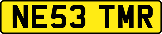 NE53TMR