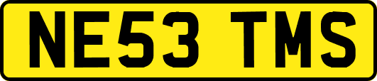 NE53TMS