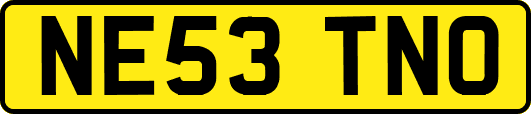 NE53TNO
