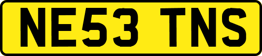 NE53TNS