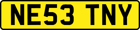 NE53TNY
