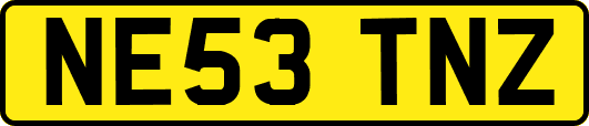 NE53TNZ