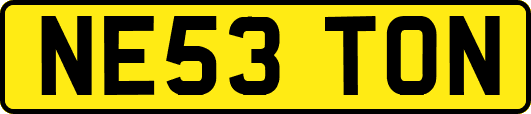 NE53TON
