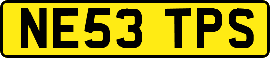 NE53TPS