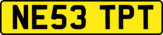 NE53TPT