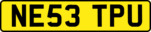 NE53TPU