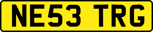NE53TRG