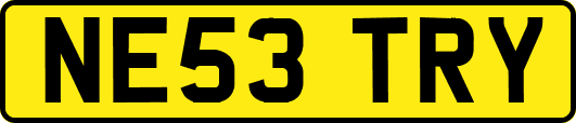 NE53TRY