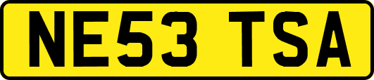 NE53TSA