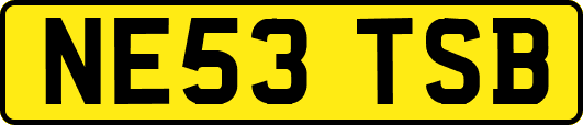 NE53TSB