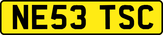 NE53TSC