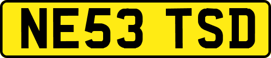 NE53TSD