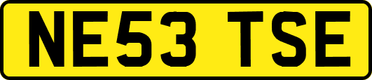 NE53TSE
