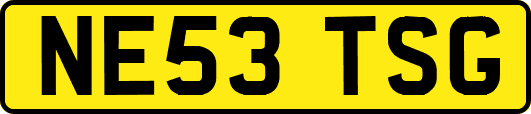 NE53TSG