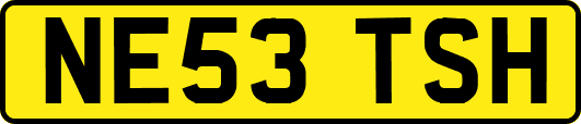 NE53TSH