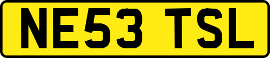 NE53TSL