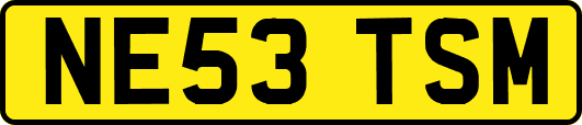 NE53TSM