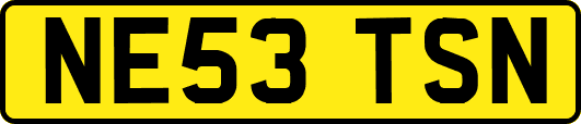 NE53TSN