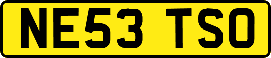 NE53TSO