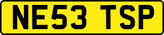 NE53TSP