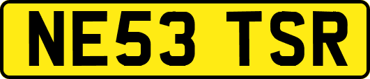 NE53TSR