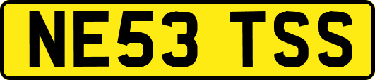 NE53TSS
