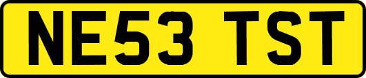 NE53TST