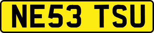 NE53TSU