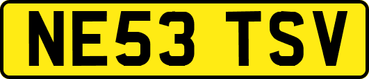 NE53TSV