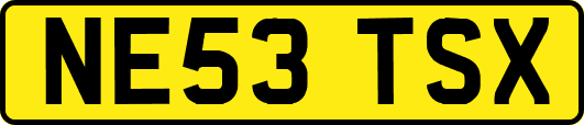 NE53TSX