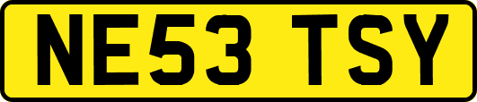 NE53TSY