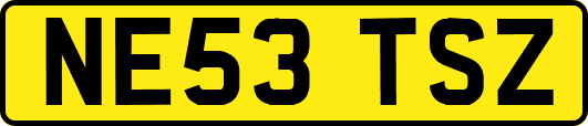 NE53TSZ