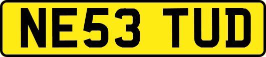 NE53TUD