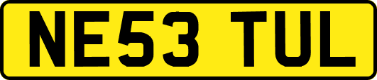 NE53TUL