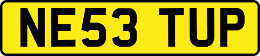 NE53TUP