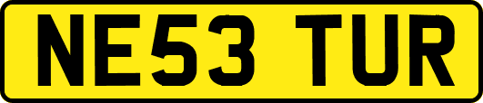 NE53TUR