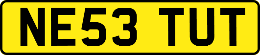 NE53TUT