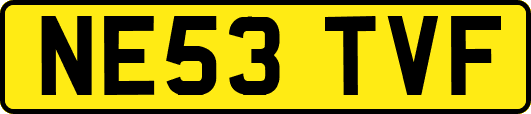 NE53TVF